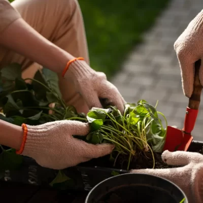 Duas pessoas trabalham juntas em uma horta comunitária, plantando mudas com luvas de jardinagem. Uma usa uma pá vermelha enquanto a outra segura as plantas.