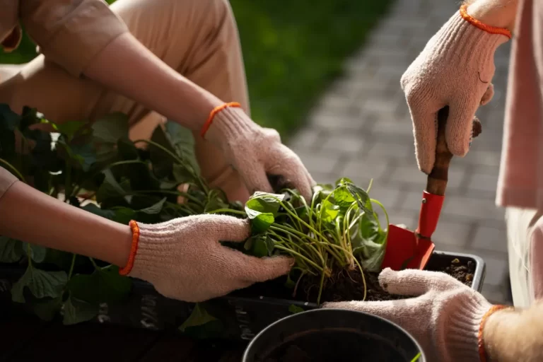 Duas pessoas trabalham juntas em uma horta comunitária, plantando mudas com luvas de jardinagem. Uma usa uma pá vermelha enquanto a outra segura as plantas.